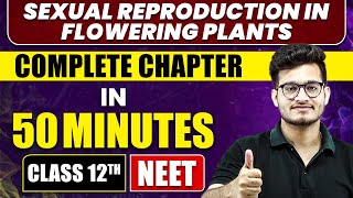 SEXUAL REPRODUCTION IN FLOWERING PLANTS in 50 Minutes  Full Chapter Revision  Class 12th NEET [upl. by Ogeid]