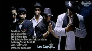 Hector el Father feat Varios Artistas  Los Capos  Los Capo  © 2007 [upl. by Tarazi318]