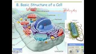 2012 HN Cell Structure 01 prokaryotic and eukaryotic cells [upl. by Koffman]