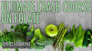 The Ultimate Crash Couse on Folate  Signs amp Symptoms of Deficiency Function Detox amp More [upl. by Aihsatan380]