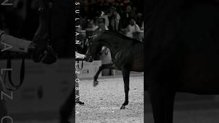 Sultan Al Zobara  GAZAL AL SHAQAB x INRA AL SHAQAB  2011،FIAHF 2023 [upl. by Neahs380]