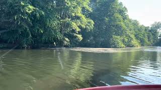 A cruise beyond wroxham bridge star gem 1 Norfolk Broads [upl. by Bill803]