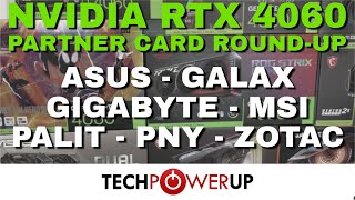 10 Card RTX 4060 Review Roundup ASUS Galax Gigabyte MSI Palit PNY Zotac [upl. by Enyallij]