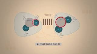 What Are Intermolecular Forces Chemistry for All FuseSchool 2 [upl. by Adnuhsat]