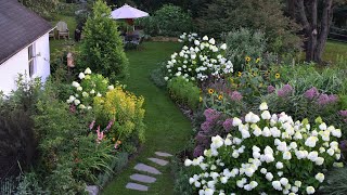 July Garden Tour  Lilies Gladiolus Acidanthera and More  Northlawn Flower Farm [upl. by Anitap]