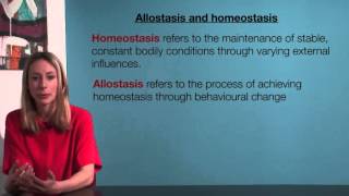 VCE Psychology  Allostasis and homeostasis [upl. by Eisen]