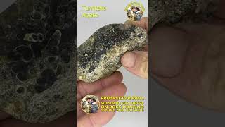 Turritella Agate  Before and After Tumble Polishing crystals rocksandminerals rockhounding [upl. by Sharity]