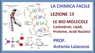 LA CHIMICA FACILE  Lezione 13  Le Biomolecole [upl. by Louanne]