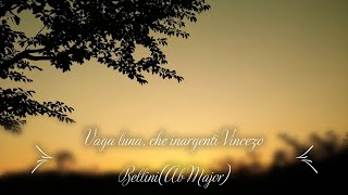 Vaga luna che inargenti  V BelliniAb Major key piano accompaniment for low voice [upl. by Sculley]