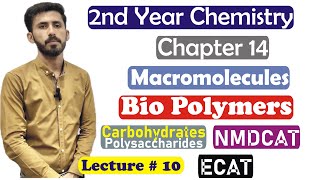 2nd Year Chemistry Chapter 14 Macromolecules Biopolymers Carbohydrates Polysaccharides Lec 10 [upl. by Riccardo]