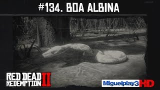 Localización Boa Albina  134 Compendio Animales  Red dead redemption 2 [upl. by Ilac]