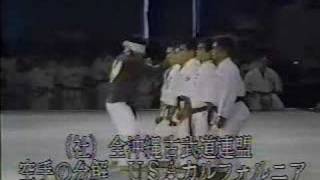 1990 Okinawan Karate  Kobudo Festival Demonstrations2 [upl. by Torre]