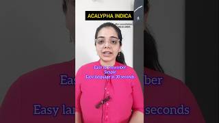 Acalypha indica homoeopathy medicine bhmsnotes materiamedica cough dryness childrencaretips [upl. by Winsor]