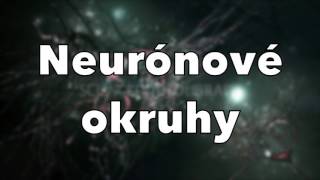 Ako funguje ľudský mozog  synapsie a neuróny [upl. by Liebermann]