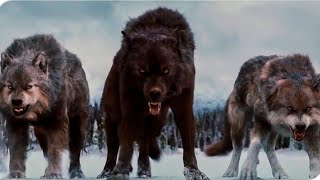 Born Among Wolves  Action Movie Full Length English   Full Action Movies HD [upl. by Hussar]