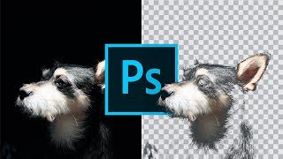 Tutorial Photoshop in Italiano come scontornare FACILMENTE il nero da una foto [upl. by Iadrahc]