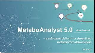 MetaboAnalyst 50  Pathway Analysis [upl. by Ennayt]