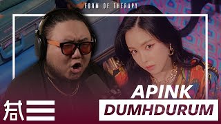 The Kulture Study Apink quotDumhdurumquot MV [upl. by Ros]