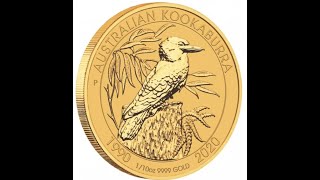 2020 110 Gold Kookaburra low mintage 1st ever Gold kookaburra Lets investigate [upl. by Etnuhs]