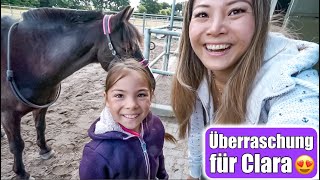 Pferd kaufen für 9 jährige 😍 Claras größter Wunsch Unsere derzeitige Wohnsituation  Mamiseelen [upl. by Urana314]