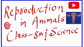 Reproduction In Animals  Class 8th  Science  Maqsood Sir [upl. by Nudd]