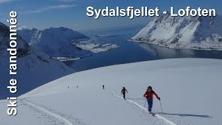 Ski de randonnée  îles Lofoten  Sydalsfjellet 736 m [upl. by Willing]