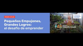 PEQUEÑOS EMPUJONES GRANDES LOGROS EL DESAFÍO DE EMPRENDER [upl. by Gerrilee]