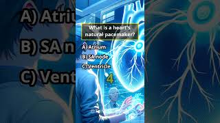 The Hearts Rhythm Keeper trivia physiology learn heartrate pacemaker facts knowledge health [upl. by Rich86]