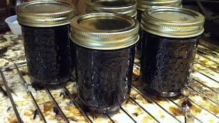 PERFECT HOME MADE BLUEBERRY SYRUP SIMPLE AND EASY RECIPE TO FOLLOW CHERYLS HOME COOKING [upl. by Entruoc689]