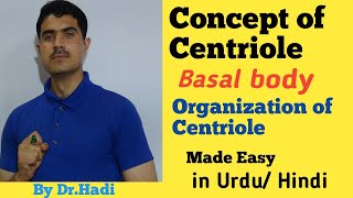 Centriole and Basal Body Lecture 14 in Urdu Hindi by dr A Hadi [upl. by Zachar299]