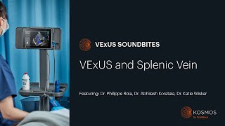 VExUS QampA  Incorporating Splenic Vein [upl. by Tlevesor871]