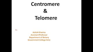 Centromere and Telomere for MSc semIII by ASHISH SHARMA [upl. by Branscum]