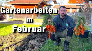 Gartenarbeit im Februar Radieschen säen Weinrebe schneiden letzte Ernte aus 2023 [upl. by Stevenson]