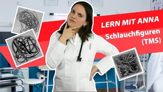 TMS  Der Medizinertest  Schlauchfiguren  Lern mit Anna tms lernenmityoutube schlauchfiguren [upl. by Euqinmod679]