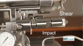 High Pressure Homogenizers From BEE International [upl. by Nevsa859]