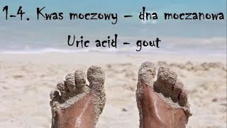 14 Kwas moczowy – dna moczanowa  Uric acid  gout [upl. by Gil]