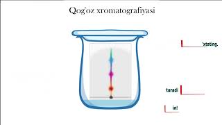 Qogoz xromatografiyasi va yuqori samarali suyuqlik xromatografiyasi ishlash prinsipi [upl. by Clyve269]