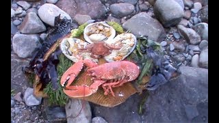 A foraged Pembrokeshire wild seafood feast cooked on the shore with Craig Evans [upl. by Leandra]