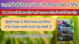 ਸ਼ਿਰਫ 150 ਰੁਃ ਵਿੱਚ ਹਲਦੀ ਡੋਡੀ ਰੋਗ ਤੋਂ ਛੁਟਕਾਰਾ ਪਾਉ PR 126 ਵਾਲੇ ਕਿਸਾਨ ਵੀਰ  PR 126  PR 131 PB 1509 [upl. by Eikkin]