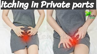 Natural Remedies itching in Private parts  itching in Private Area Women Home Remedies  itchy Skin [upl. by Collum386]