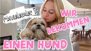 WIR BEKOMMEN EINEN HUND 🐶  MaVie Noelle [upl. by Gokey]