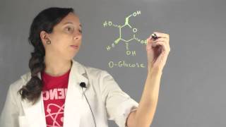 Net Equation for Glycolysis amp the Citric Acid Cycle  Chemistry Lessons [upl. by Anihs]