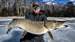 Getting Redemption on the Biggest Fish of our Lives Giant Northern Pike [upl. by Annoyek110]