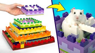 LIVE Most Amazing Crafts For Your Pet Rats amp Hamsters 🐹🐭 [upl. by Dani]