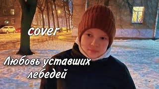 Димаш  Любовь уставших лебедей cover Макс Краш [upl. by Almira386]