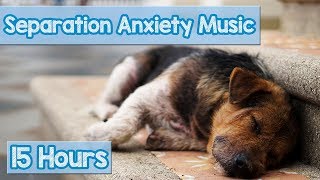 15 HOURS of Deep Separation Anxiety Music for Dog Relaxation Helped 4 Million Dogs Worldwide NEW [upl. by Obie128]