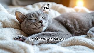 🎶 Le Monde de Minou VieDeChat Ronronnements ChasseurNocturne MystèreFélins MomentsDeParesse [upl. by Ivah]