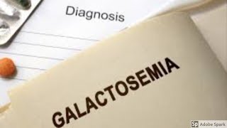 Galactosemia [upl. by Eissed754]