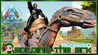 Is this the Best Place to Farm High Level Dinos Soloing the Ark Ascended 12 [upl. by Anayra]