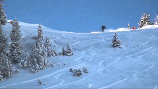 Alta Powder Skiing Dec 15 2014 [upl. by Daahsar]